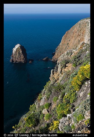 Rock and cliff in springtime, Santa Cruz Island. Channel Islands National Park (color)