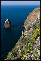 Rock and cliff in springtime, Santa Cruz Island. Channel Islands National Park, California, USA. (color)
