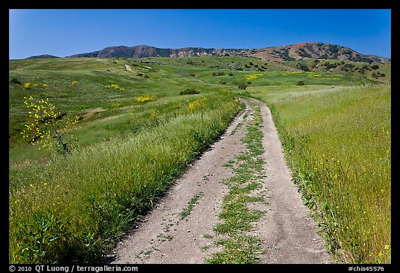 Smugglers Road through green hills in the spring, Santa Cruz Island. Channel Islands National Park (color)