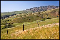 Grasslands, fence and hill ridges, Santa Cruz Island. Channel Islands National Park ( color)