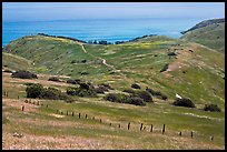 Grasslands in the spring, fence and ocean, Santa Cruz Island. Channel Islands National Park ( color)