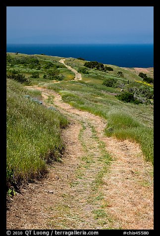 Winding dirt road and ocean, Santa Cruz Island. Channel Islands National Park (color)