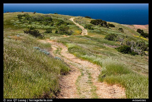 Dirt road through coastal hills, Santa Cruz Island. Channel Islands National Park (color)