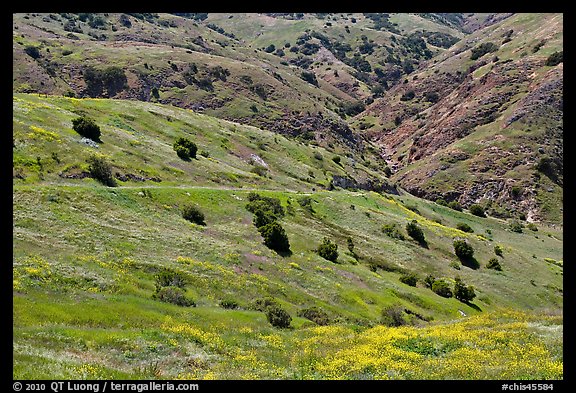 Scorpion Canyon in the spring, Santa Cruz Island. Channel Islands National Park (color)