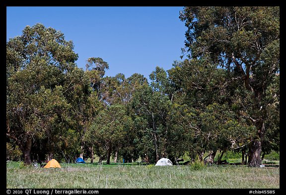 Campground in Scorpion Canyon, Santa Cruz Island. Channel Islands National Park (color)