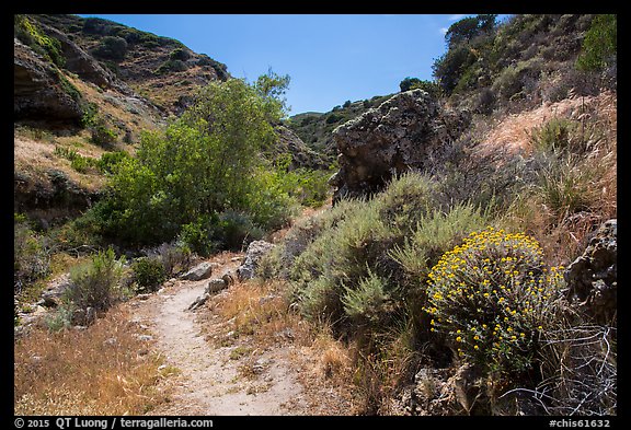 Cherry Canyon Trail, Santa Rosa Island. Channel Islands National Park (color)