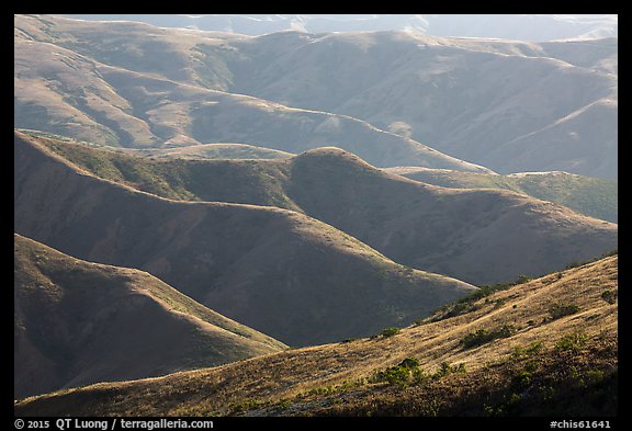 Hills and ridges in late afternoon, Santa Rosa Island. Channel Islands National Park (color)