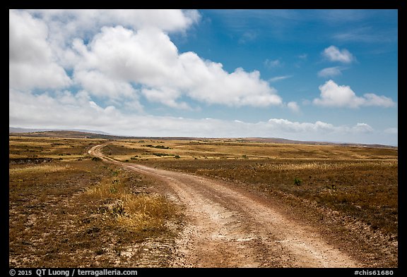 Road, Santa Rosa Island. Channel Islands National Park (color)