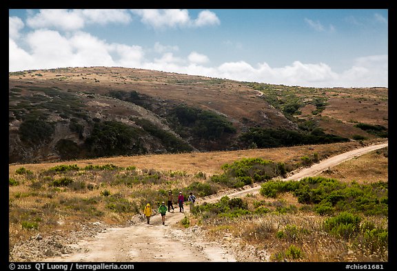 Hikers on road, Santa Rosa Island. Channel Islands National Park (color)