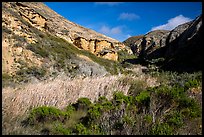 Riparian vegetation and cliffs, Lobo Canyon, Santa Rosa Island. Channel Islands National Park ( color)