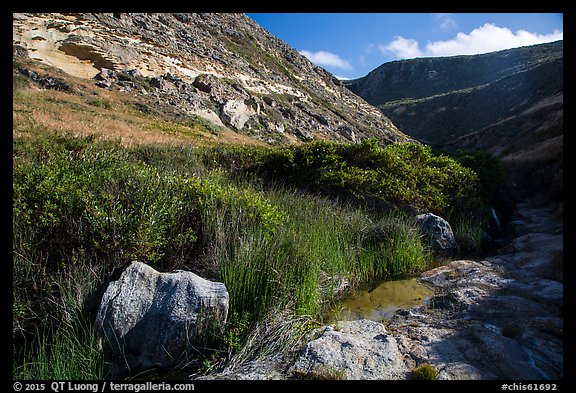 Year-round stream, Lobo Canyon, Santa Rosa Island. Channel Islands National Park (color)