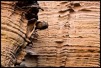 Detail of water-sculptured canyon wall, Lobo Canyon, Santa Rosa Island. Channel Islands National Park ( color)
