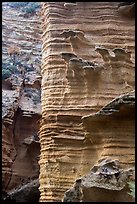 Water-sculptured sandstone wall, Lobo Canyon, Santa Rosa Island. Channel Islands National Park ( color)