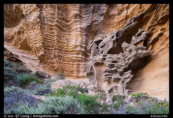 Water-sculpted sandstone cliffs, Lobo Canyon, Santa Rosa Island. Channel Islands National Park (color)