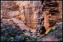 Base of sculpted sandstone cliffs, Lobo Canyon, Santa Rosa Island. Channel Islands National Park ( color)