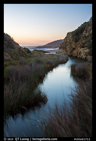 Wetland at he bottom of Water Canyon, and Ocean, sunrise, Santa Rosa Island. Channel Islands National Park (color)