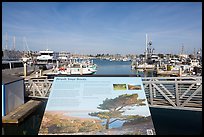 Invasive species interpretive sign, Ventura Harbor. Channel Islands National Park ( color)