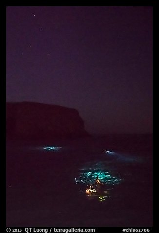 Night diving with lights, Santa Barbara Island. Channel Islands National Park (color)