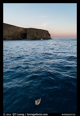 Seabird and Arch Point at dawn, Santa Barbara Island. Channel Islands National Park (color)