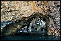 Elephant Belley Sea Cave, Santa Cruz Island. Channel Islands National Park ( color)