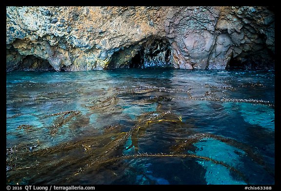 Clear waters, kelp, annd sea caves, Santa Cruz Island. Channel Islands National Park (color)