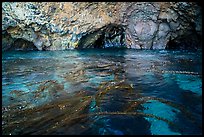 Clear waters, kelp, annd sea caves, Santa Cruz Island. Channel Islands National Park ( color)