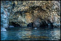 Multiple sea caves entrances, Santa Cruz Island. Channel Islands National Park ( color)