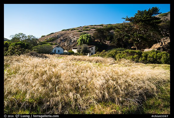 Grasses and former ranch, Scorpion Canyon, Santa Cruz Island. Channel Islands National Park (color)