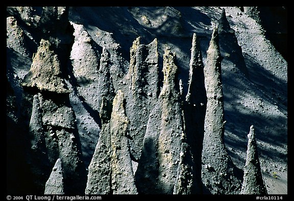 Pumice and ash pipes cemented by volcanic gasses. Crater Lake National Park, Oregon, USA.