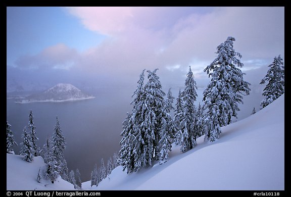 Snow-covered trees and misty lake at sunset. Crater Lake National Park, Oregon, USA.