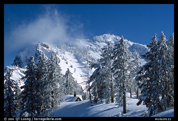 Trees, cabin, and Mt Garfield in winter. Crater Lake National Park (color)