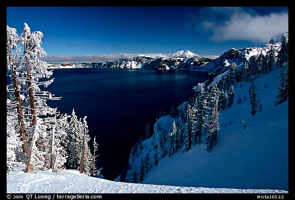 Snow-covered trees and dark lake waters. Crater Lake National Park, Oregon, USA.