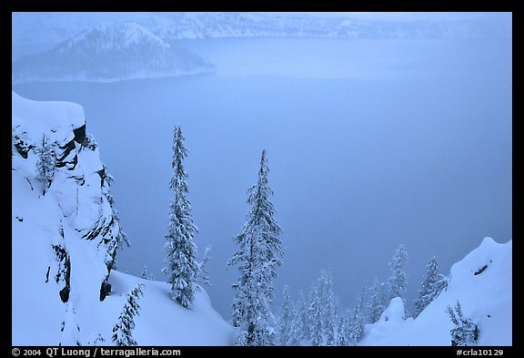 Trees and mistly lake in winter. Crater Lake National Park (color)