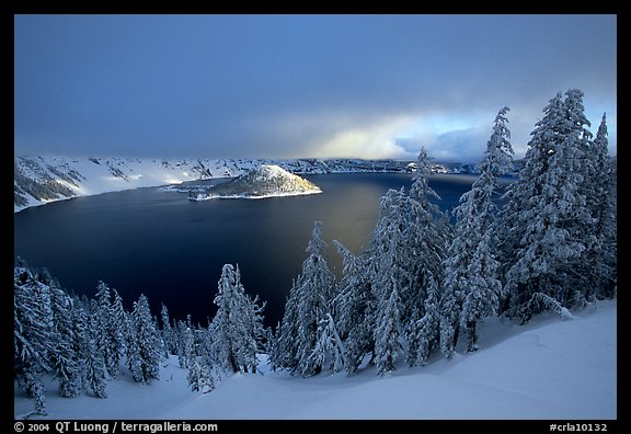 Trees, Lake and Wizard Island, cloudy winter sunrise. Crater Lake National Park (color)