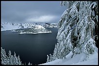 Trees and Wizard Island in winter with clouds and dark waters. Crater Lake National Park, Oregon, USA. (color)