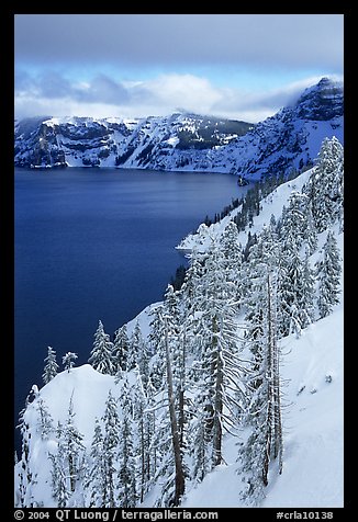 Cliffs, conifer trees, and lake in winter with cloudy skies. Crater Lake National Park, Oregon, USA.