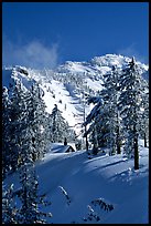 Cabin in winter with trees and mountain. Crater Lake National Park, Oregon, USA. (color)
