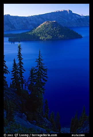 Conifer trees, Lake and Wizard Island. Crater Lake National Park, Oregon, USA.