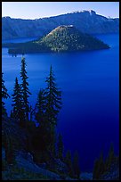Conifer trees, Lake and Wizard Island. Crater Lake National Park ( color)