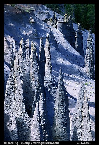 Ancient fossilized vents. Crater Lake National Park (color)