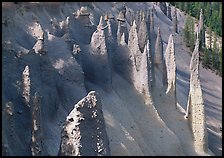 Vertical columns of volcanic origin. Crater Lake National Park ( color)