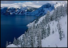 Snowy trees and slopes. Crater Lake National Park ( color)