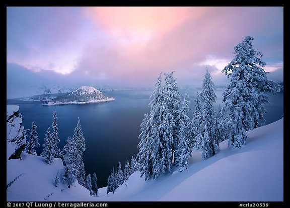 Snowy trees and lake with low clouds colored by sunset. Crater Lake National Park, Oregon, USA.