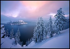 Snowy trees and lake with low clouds colored by sunset. Crater Lake National Park ( color)