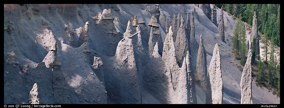 Cluster of volcanic columns. Crater Lake National Park, Oregon, USA.