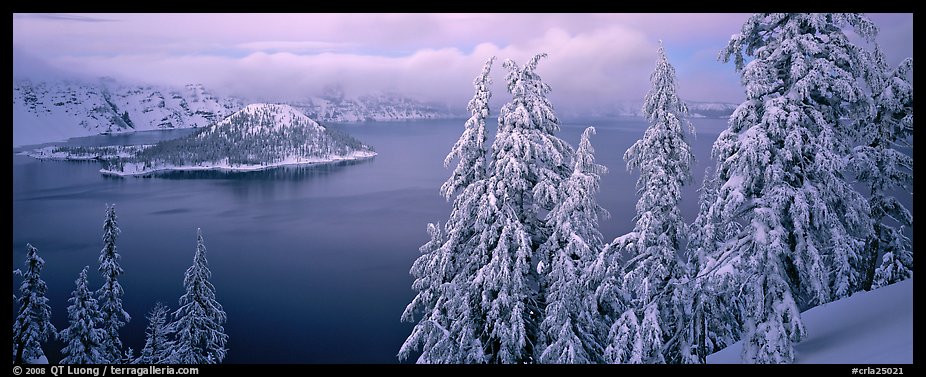 Snowy trees, lake, and Wizard Island. Crater Lake National Park, Oregon, USA.