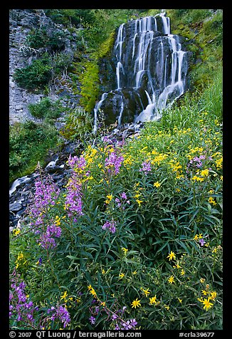 Vidae Falls and wildflowers. Crater Lake National Park, Oregon, USA.