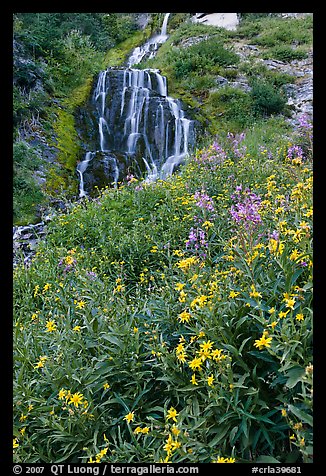 Wildflowers and Vidae Falls. Crater Lake National Park, Oregon, USA.