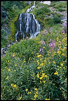 Wildflowers and Vidae Falls. Crater Lake National Park, Oregon, USA. (color)