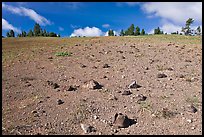 Pumice plain. Crater Lake National Park, Oregon, USA. (color)